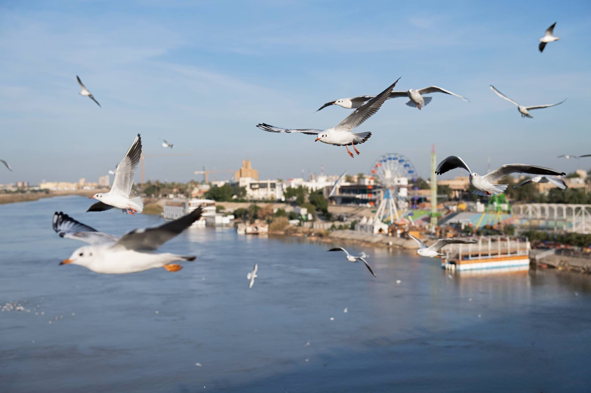 هيئة الأنواء الجوية تكشف تفاصيل الطقس للأيام المقبلة