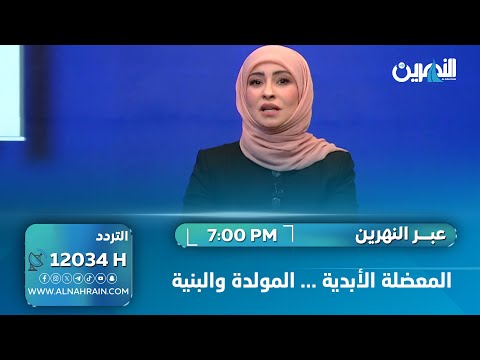 المعضلة الأبدية.. المولدة والبنية