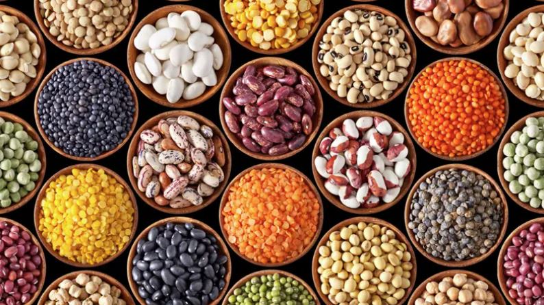 بدائل غذائية غنية بالبروتين وبديلة للحم 