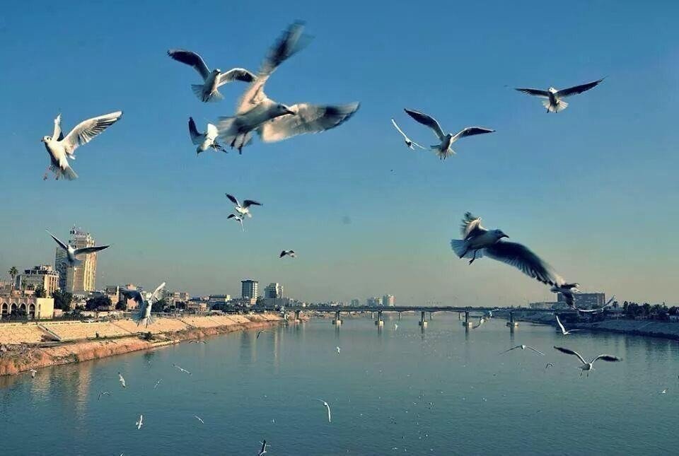  الأنواء الجوية: استقرار في درجات الحرارة ولا مؤشرات على منخفضات جوية جديدة