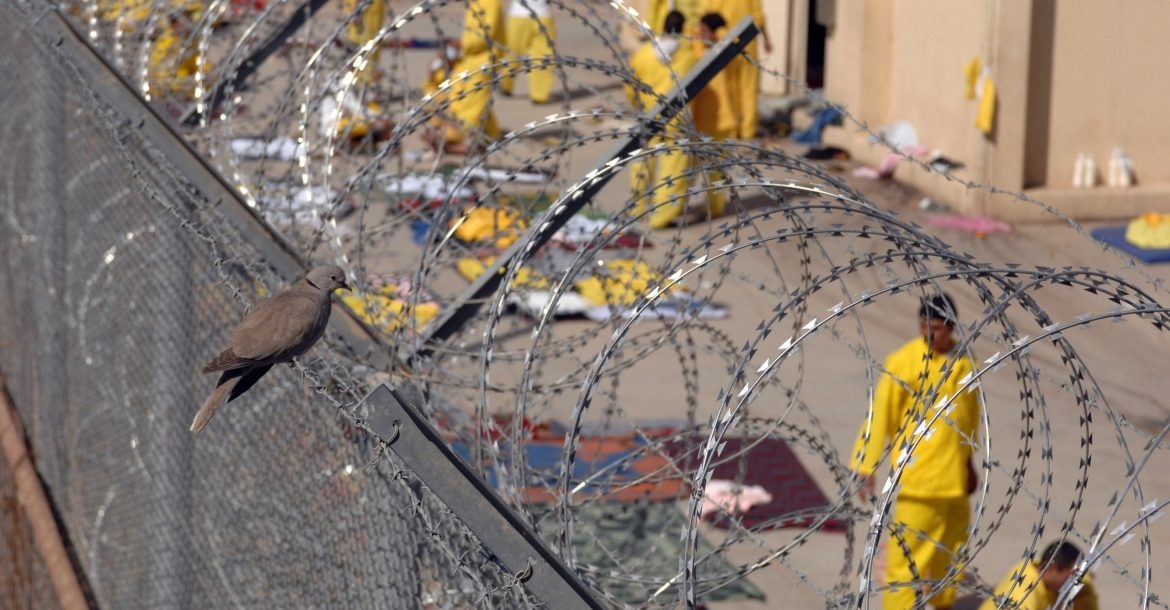 العدل تطلق سراح 751 نزيلاً خلال كانون الثاني 2026