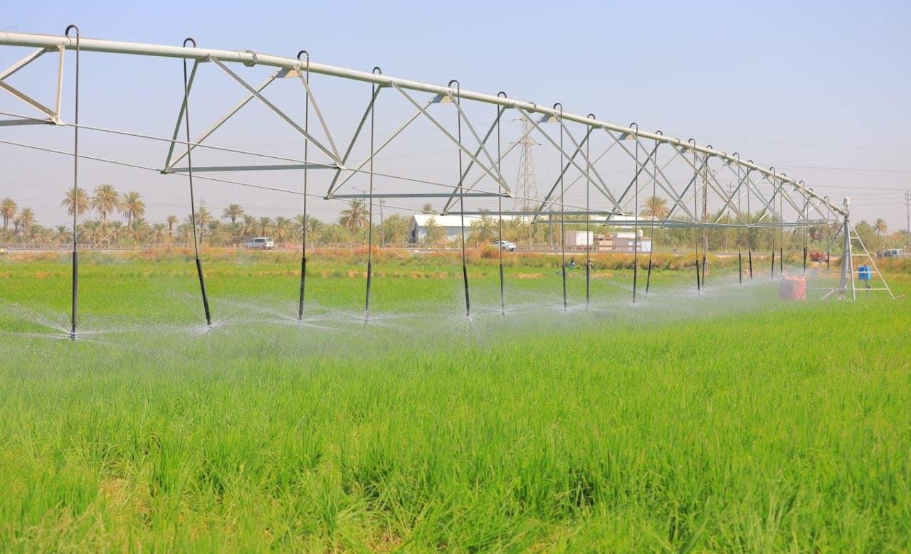 زراعة النجف تطلق حملة لزراعة المساحات الصحراوية بالاعتماد على المياه الجوفية