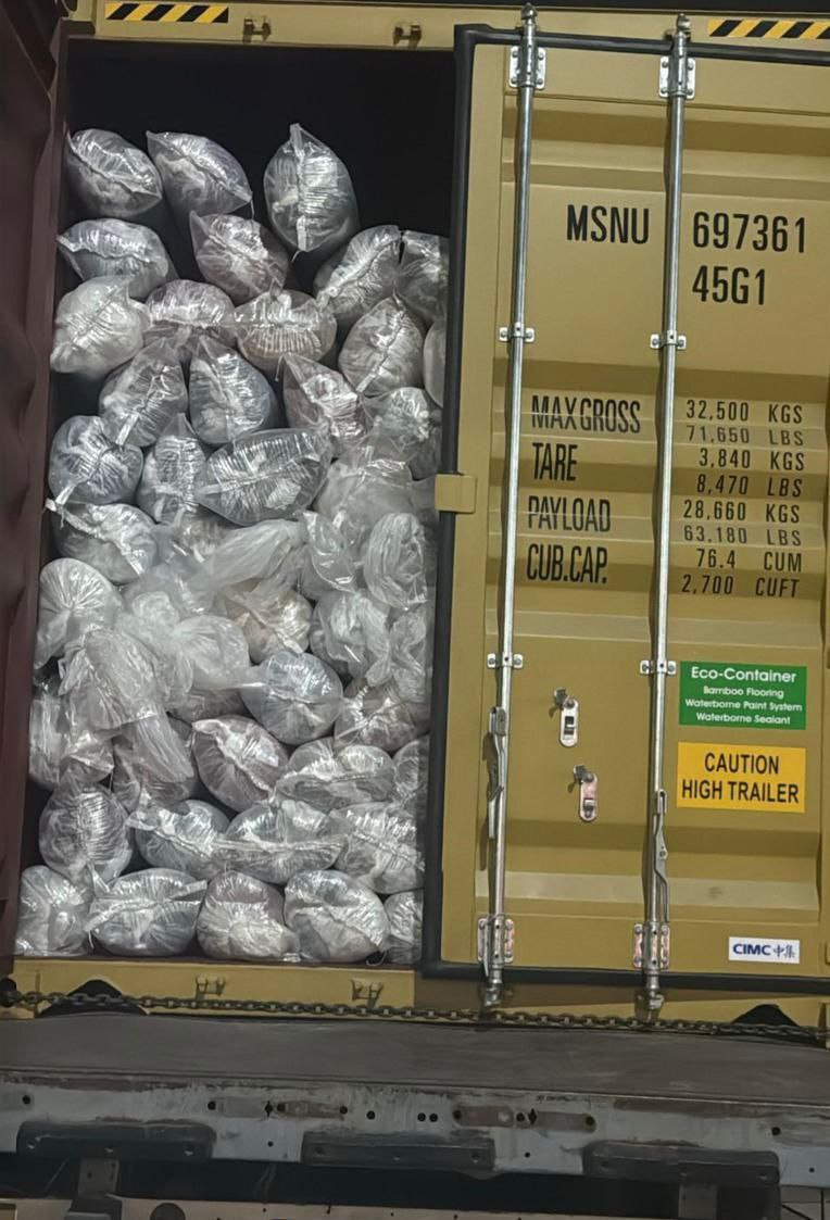 هيئة المنافذ الحدودية تحبط محاولة تهريب في ميناء أم قصر 