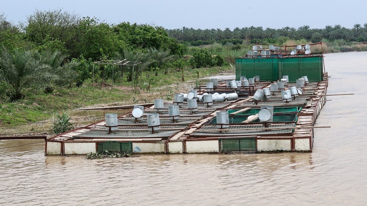 الموارد المائية تغلق بئرا مخالفة تغذي 10 بحيرات أسماك في كربلاء