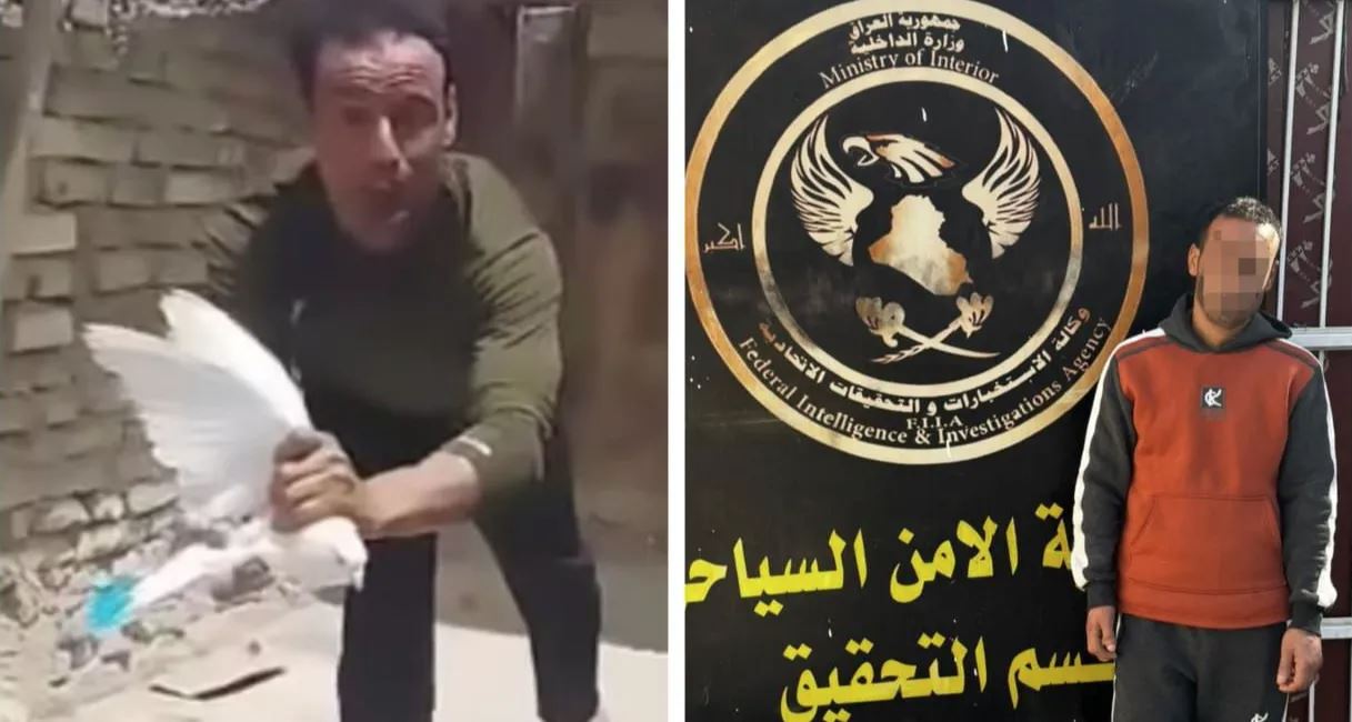 الداخلية تعتقل شخصاً بعد تعذيبه للطيور في فيديو أثار غضب الجمهور