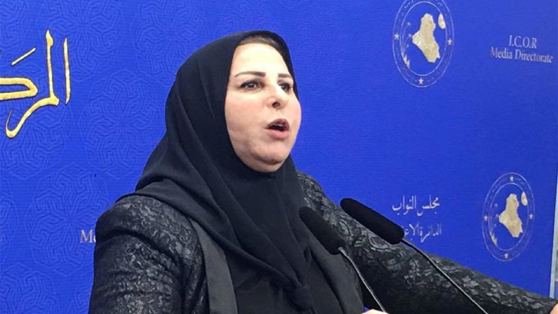 النائب عالية نصيف: البنك المركزي خسر 11 مليون دولار بسبب قانون التحكيم الدولي