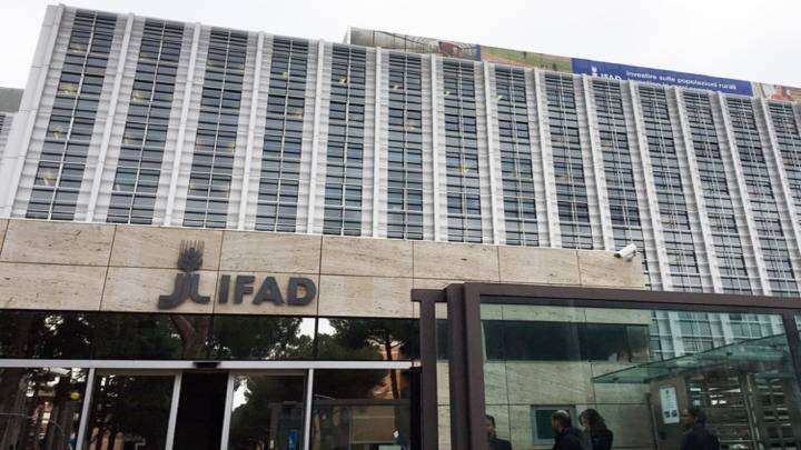 بقيمة 16 مليون دولار أمريكي .. الصندوق الدولي للتنمية الزراعية يمول أول مشروع استثماري له في العراق