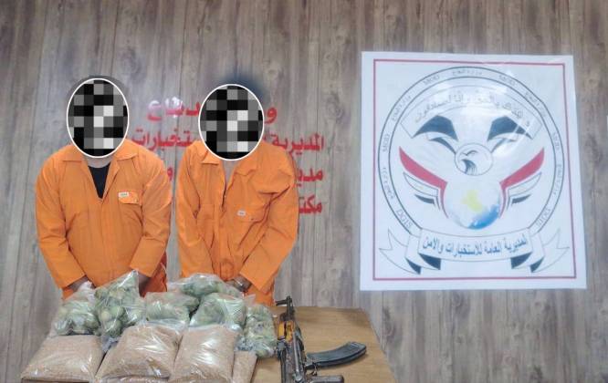 الاستخبارات والأمن تطيح بتاجري مخدرات وتكشف مزرعة 'الداتورا' في ذي قار
