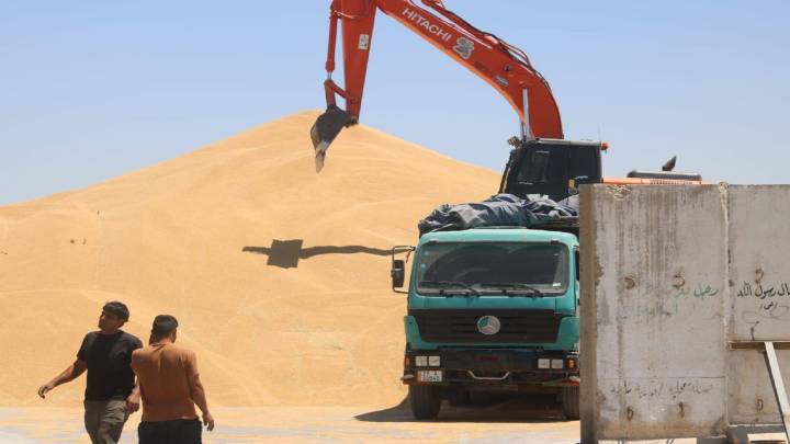 التجارة تعلن تحقيق نجاجا كبيرا في تسويق الحنطة للمحافظات الجنوبية